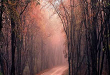 探索论坛世界的乐趣！天涯论坛经济论坛论坛，真的是好多话题都聊不完啊，大家在线上分享生活、讨论经济，感觉像一个大家庭，亲亲热热的。