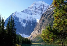 探索论坛世界的乐趣！天涯论坛经济论坛论坛，真的是好多话题都聊不完啊，大家在线上分享生活、讨论经济，感觉像一个大家庭，亲亲热热的。